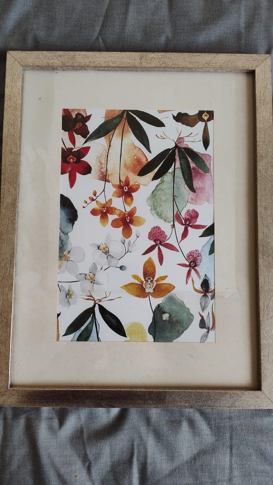 Set de 2 cuadros con ilustraciones botánicas de flores — foto 2